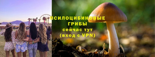 шишки Алексеевка