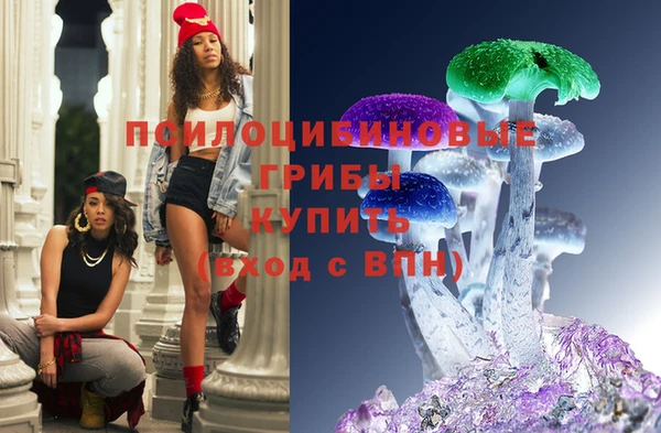 шишки Алексеевка