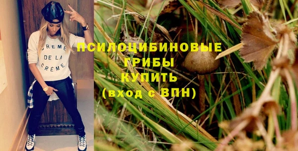 прущий лед Алзамай